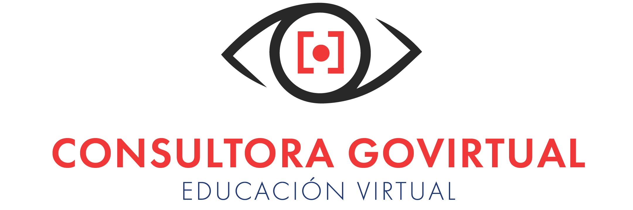 consultoragovirtual.com